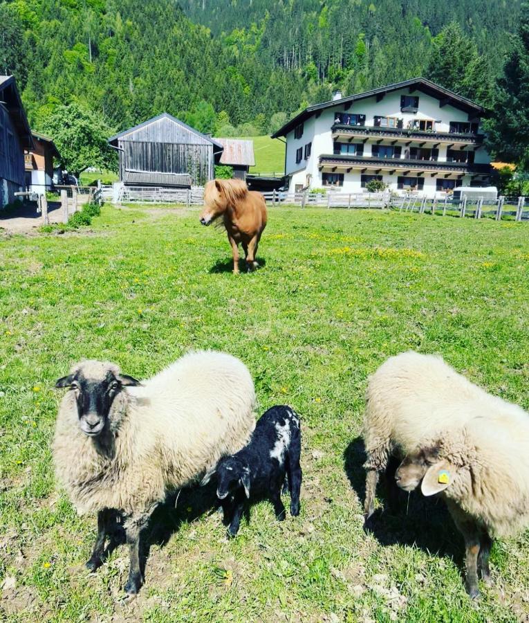 Hettlerhof Hotel Maishofen Luaran gambar